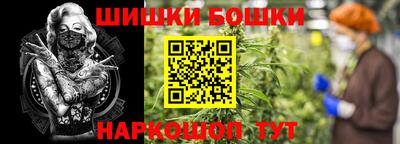 шишки Можайск
