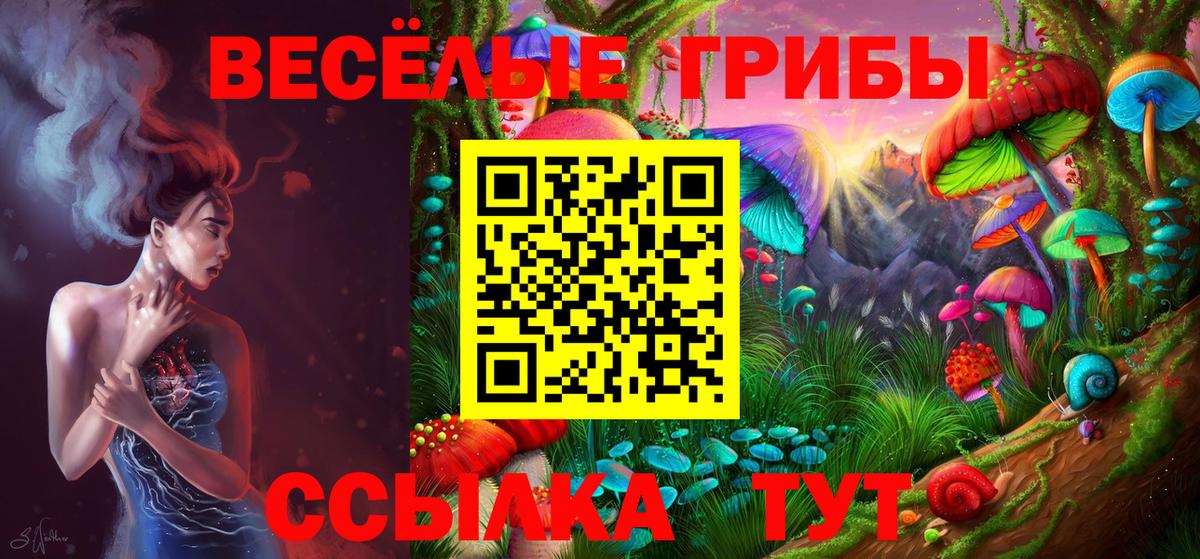 Самара  Псилоцибиновые грибы мухоморы  Псилоцибиновые грибы мухоморы  Вход с VPN 